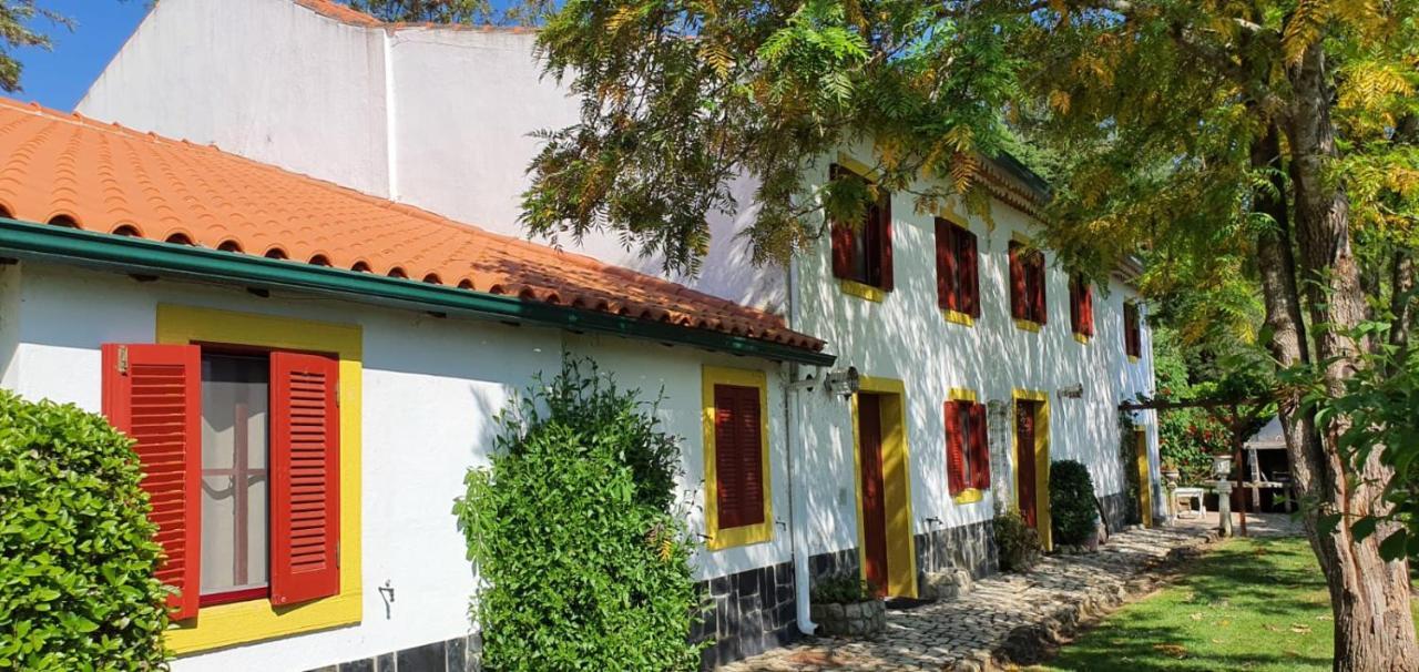 Quinta Flores Ferreira do Zezere Exterior photo